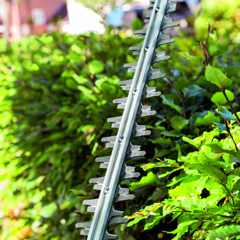 EGO HT2410E 56V 61cm Double Sided Hedge Trimmer