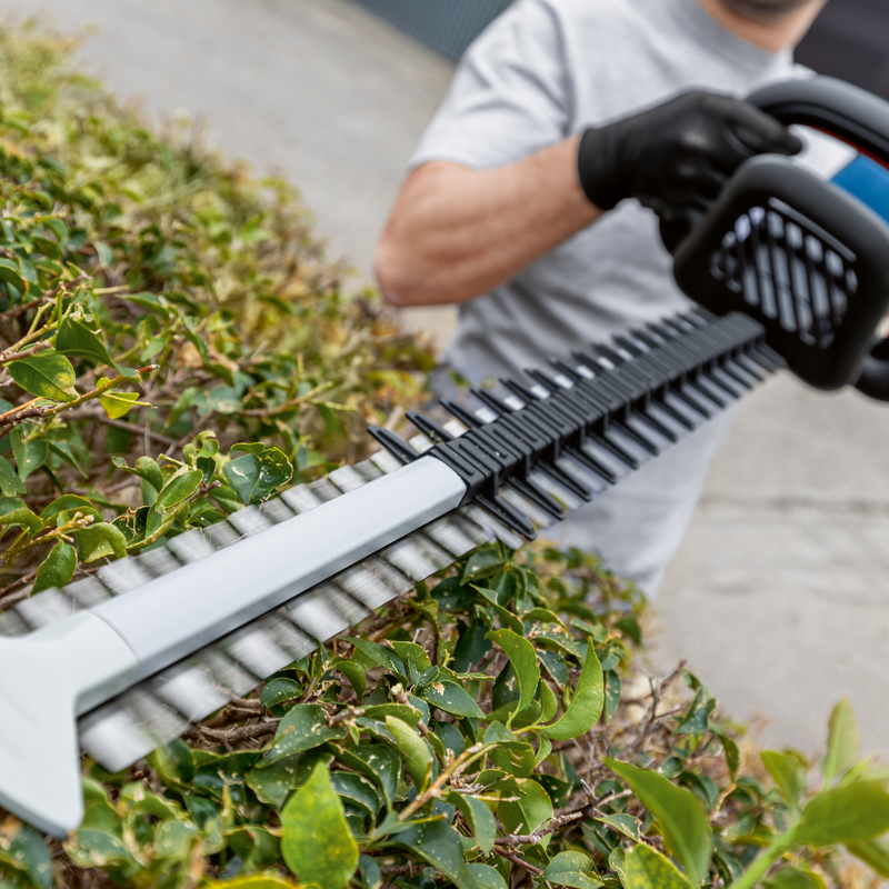 BOSCH 18V GHE18V-60 Brushless Hedge Trimmer in Carton 06008C9000